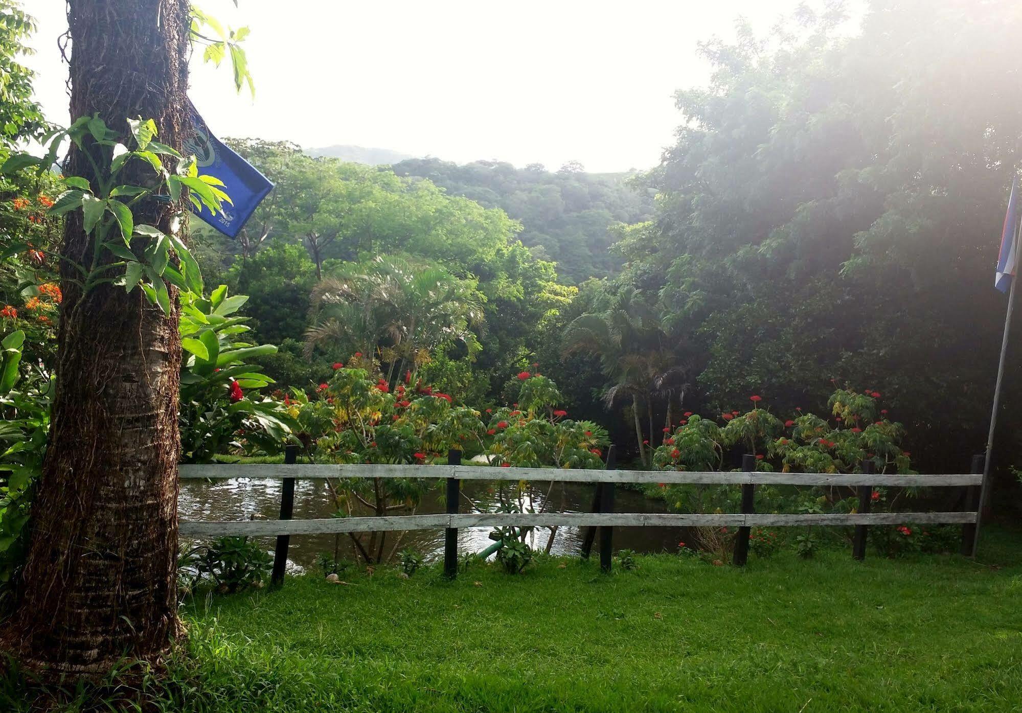 Rancho De Lelo Ecolodge Монте-Верде Экстерьер фото