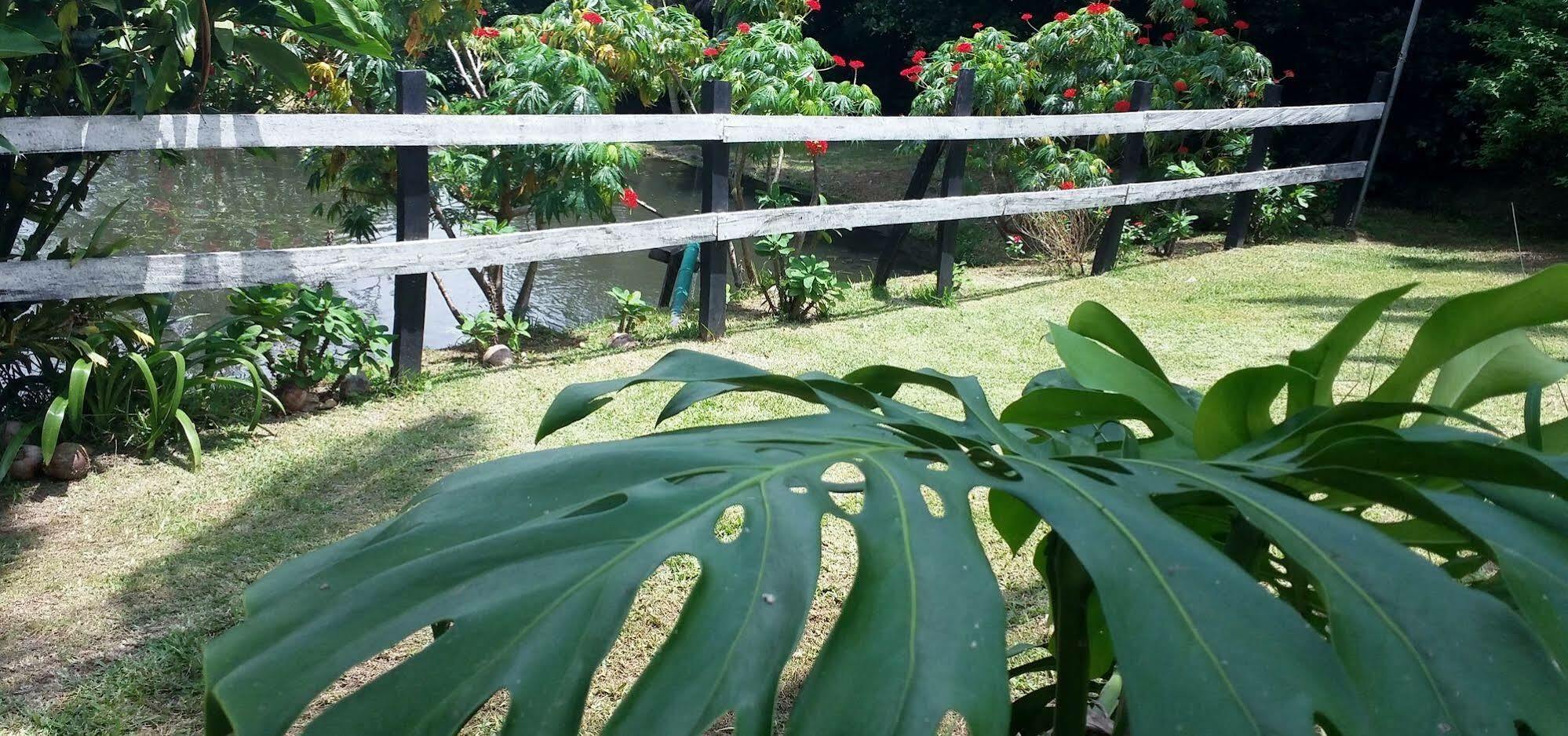 Rancho De Lelo Ecolodge Монте-Верде Экстерьер фото