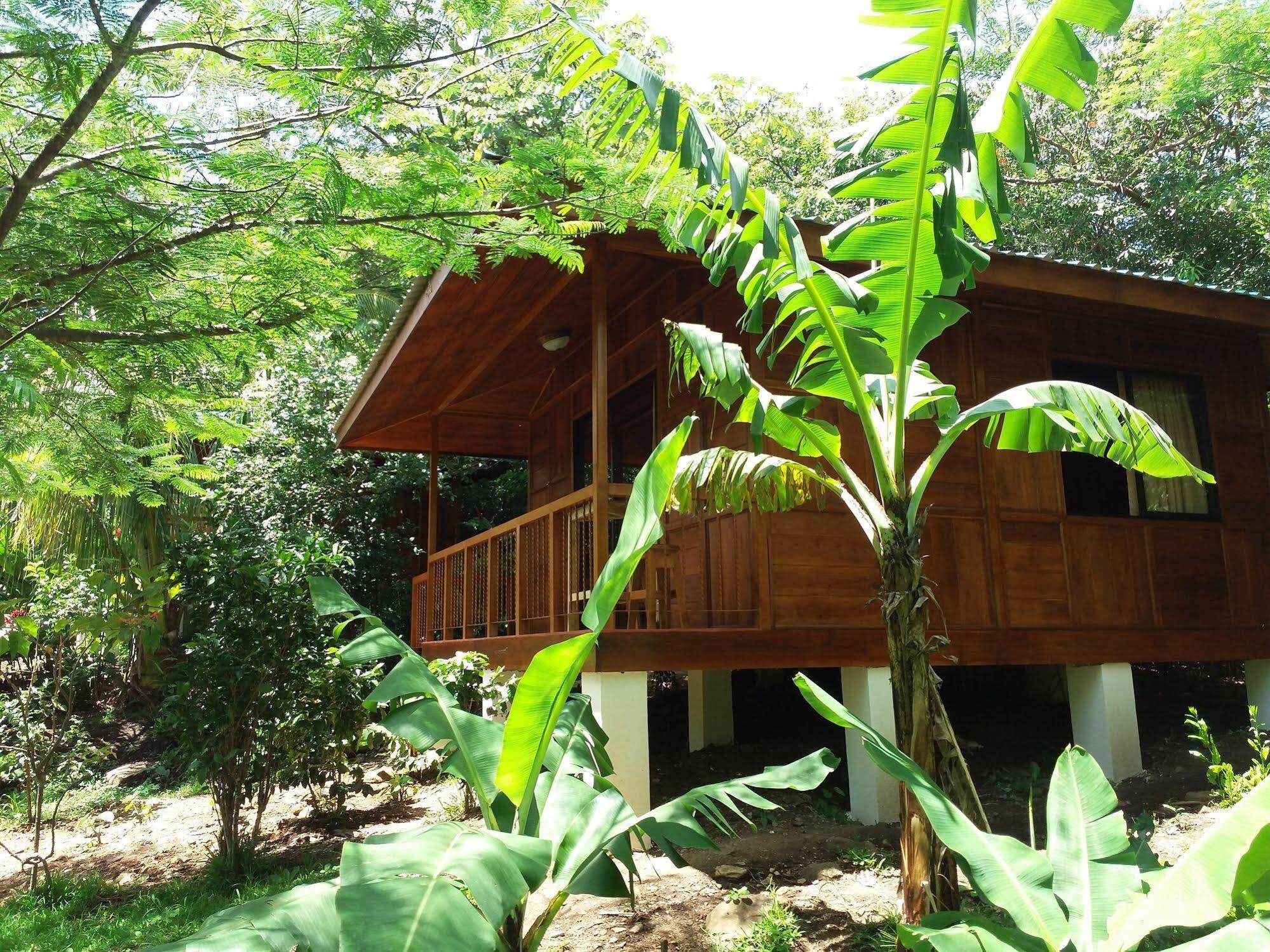 Rancho De Lelo Ecolodge Монте-Верде Экстерьер фото