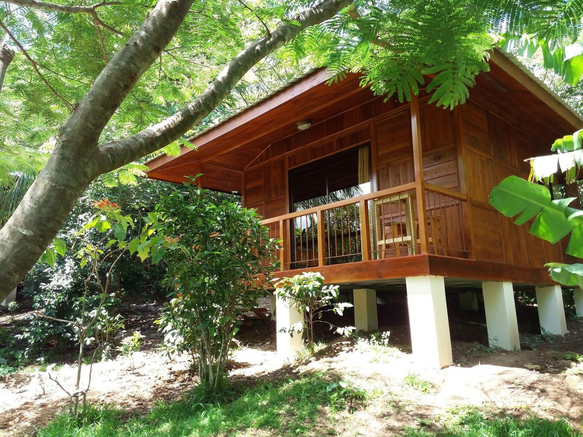 Rancho De Lelo Ecolodge Монте-Верде Экстерьер фото