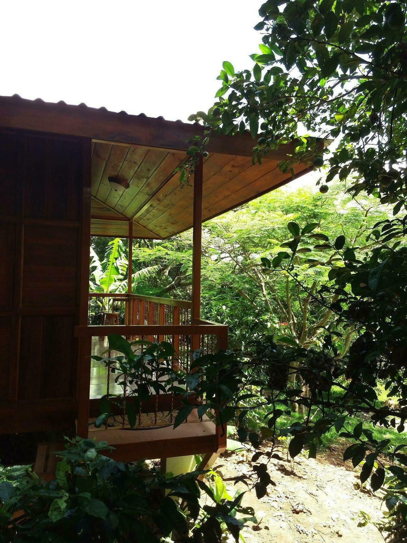Rancho De Lelo Ecolodge Монте-Верде Экстерьер фото