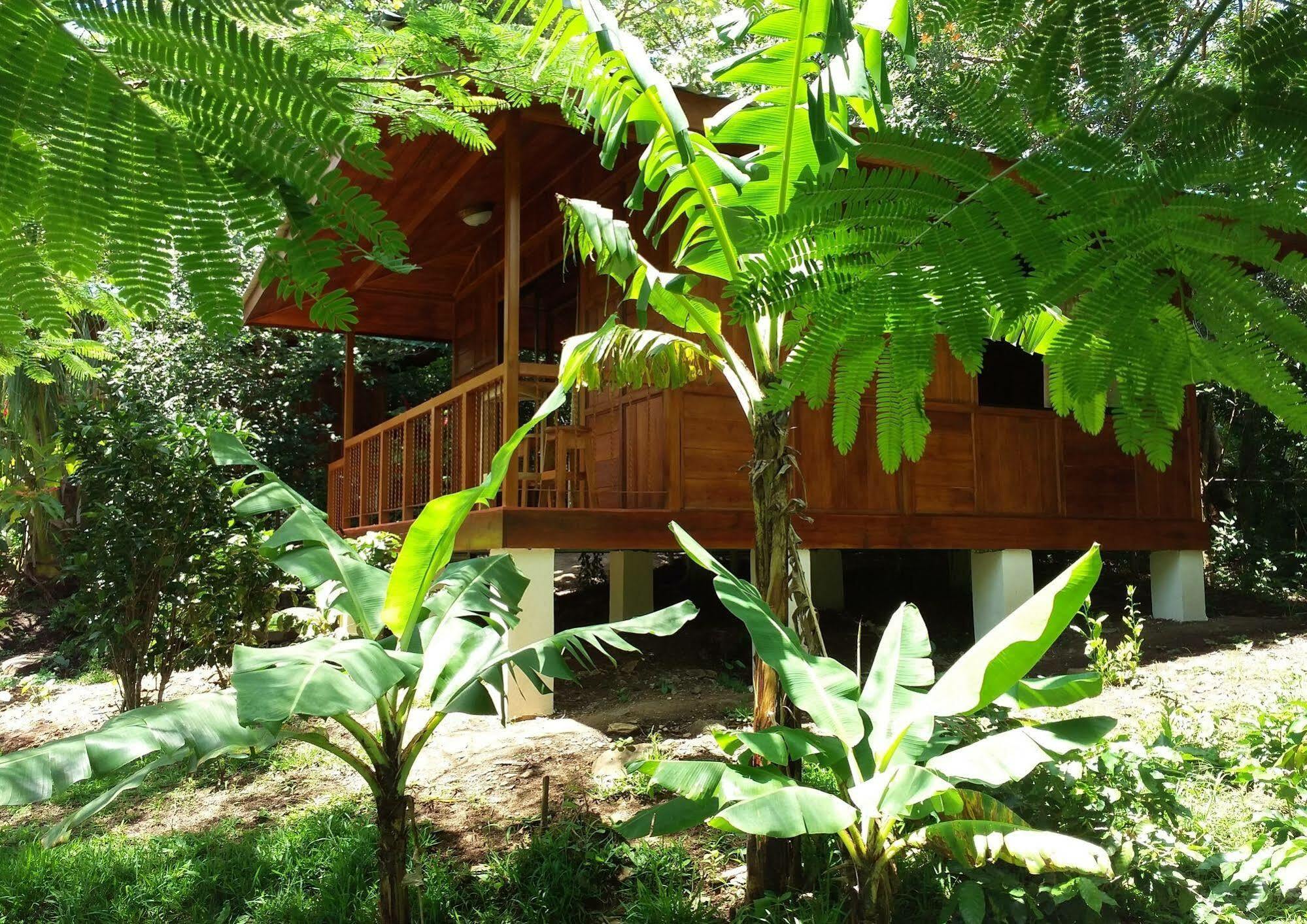 Rancho De Lelo Ecolodge Монте-Верде Экстерьер фото